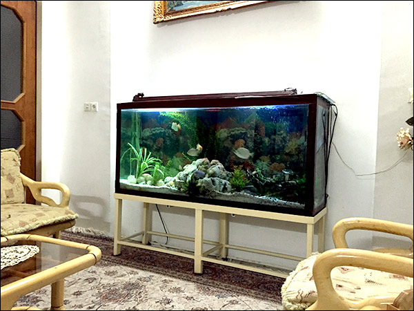 http://download.aftab.cc/img/94/aquarium.jpg