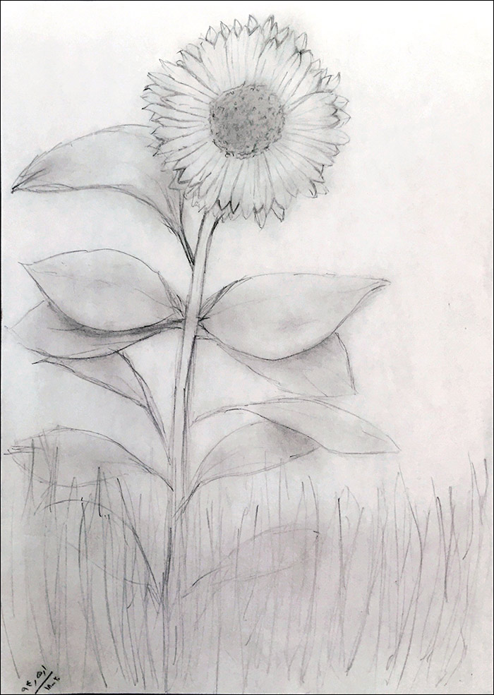 http://download.aftab.cc/img/94/my_sunflower_painting_grayscale.jpg