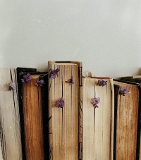 Books series1